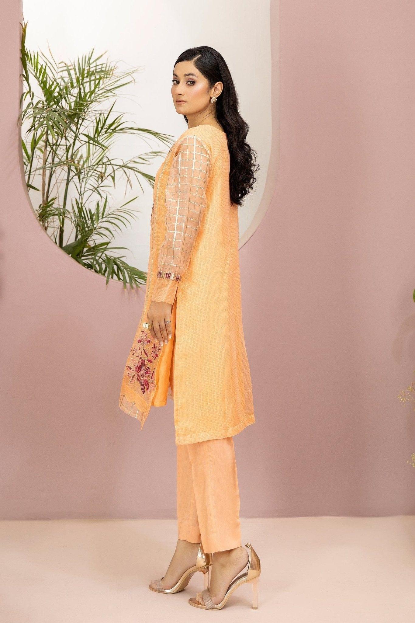 Embroidered Organza Shirt - Image 3